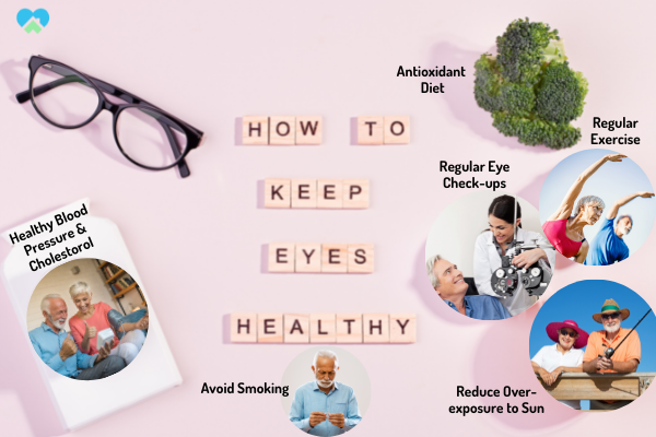 How to Prevent Macular Degeneration 