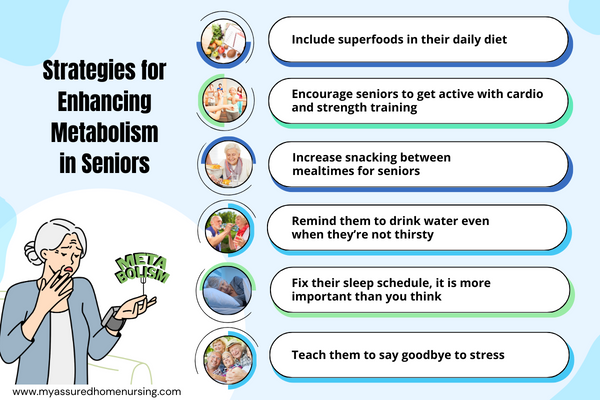 Strategies for Enhancing Metabolism in Seniors
