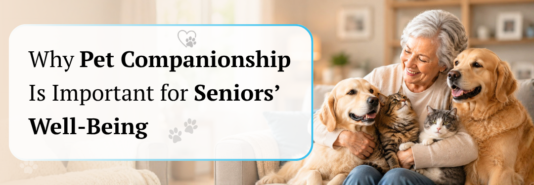 Home 13 The Heartwarming Benefits of Pets for Seniors in Michigan