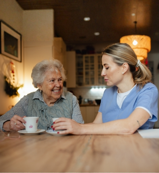 Senior In Home Care Ann Arbor MI