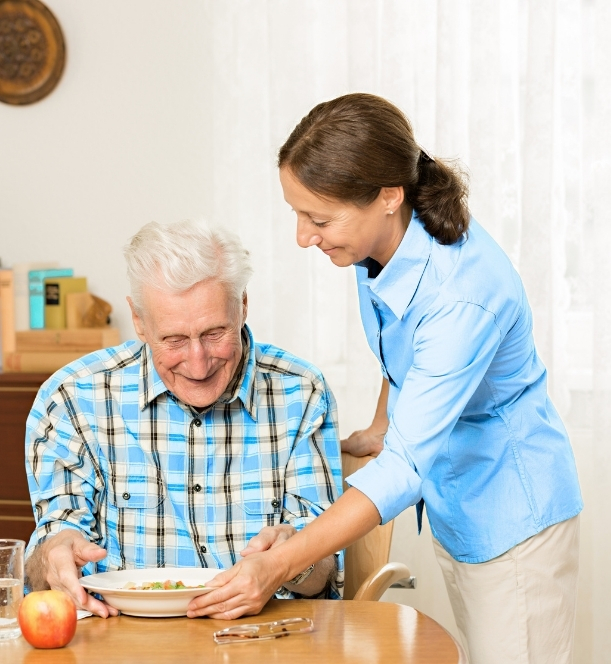 Senior In Home Care Ann Arbor MI